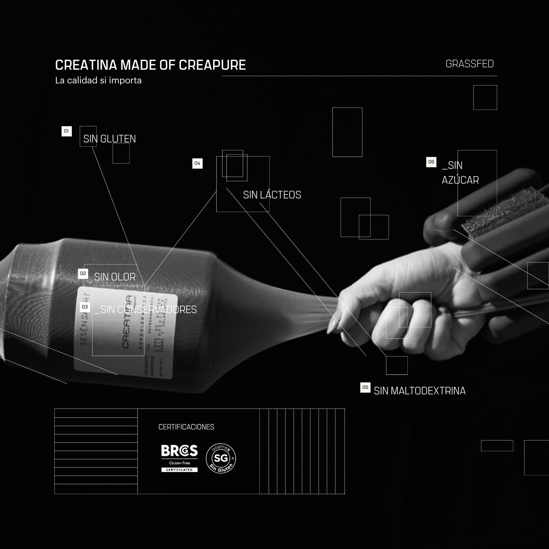 Creatina / Creapure®