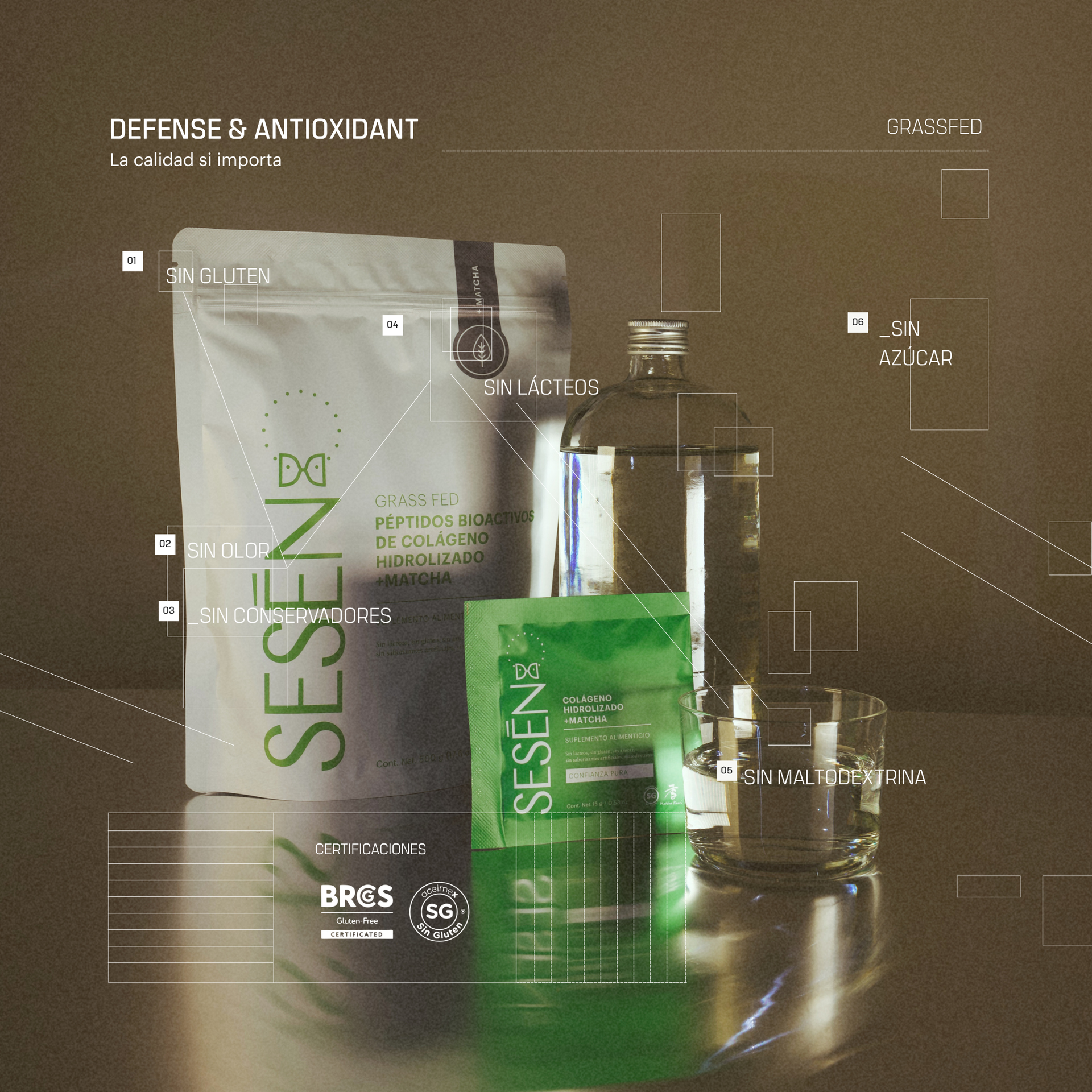 Empaque frontal de péptidos Matcha, y los matcha sachets, colágeno hidrolizado en polvo con matcha, presentación de 500 g.